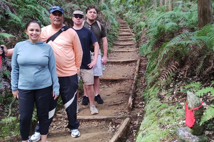 Kumano Kodo Pilgerfahrt in 1 Tag mit lizenziertem Fortgeschrittener