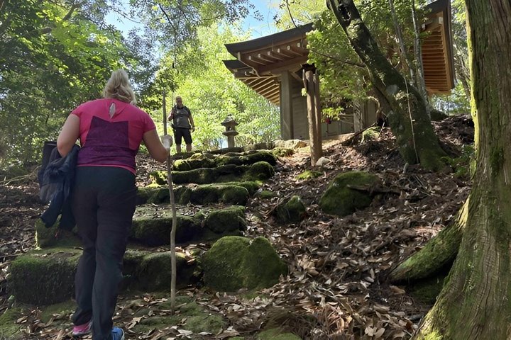 Kumano Kodo Pilgerfahrt in 1 Tag mit lizenziertem Fortgeschrittener