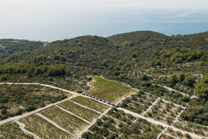 Tour Safari en Buggy Korcula : Playas, Caminos secundarios & Catas de vinos