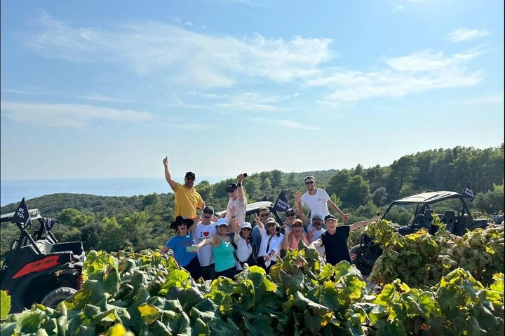 Tour Safari en Buggy Korcula : Playas, Caminos secundarios & Catas de vinos