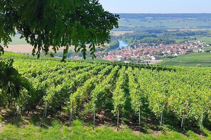 Excursion d'une journée au Champagne au départ de Reims avec 9 dégustations de Champagne