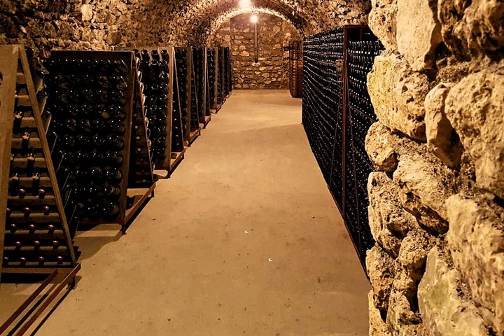 Excursion d'une journée au Champagne au départ de Reims avec 9 dégustations de Champagne