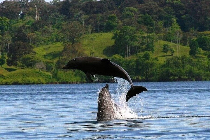 Dagstur till Bocas del Toro Catamaran med segelsnorkel och lunch