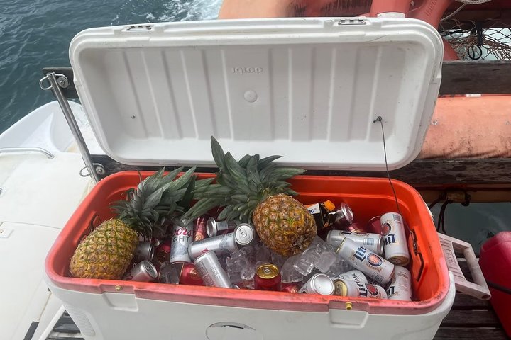 Dagstur till Bocas del Toro Catamaran med segelsnorkel och lunch