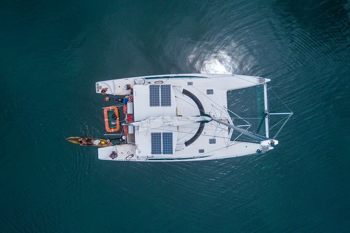 Dagstur till Bocas del Toro Catamaran med segelsnorkel och lunch