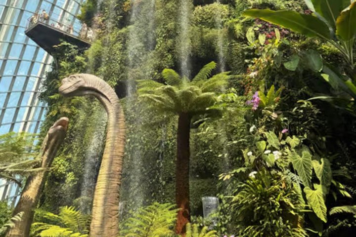 Gardens by the Bay Admission Ticket with OCBC Skyway
