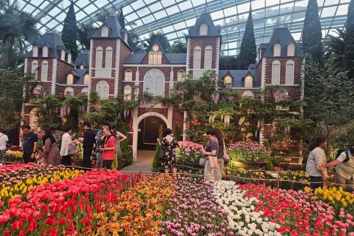 Gardens by the Bay Admission Ticket with OCBC Skyway
