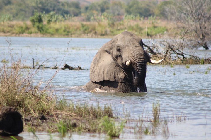10-dagers safari i Malawi: Liwonde, Majete Big Five & Lake Malawi