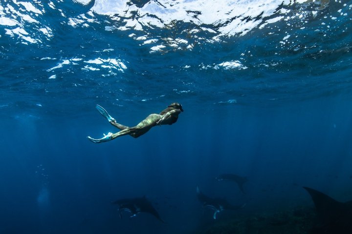 Hoteller i nærheden af Premium Private Full Day Tour All Inclusive