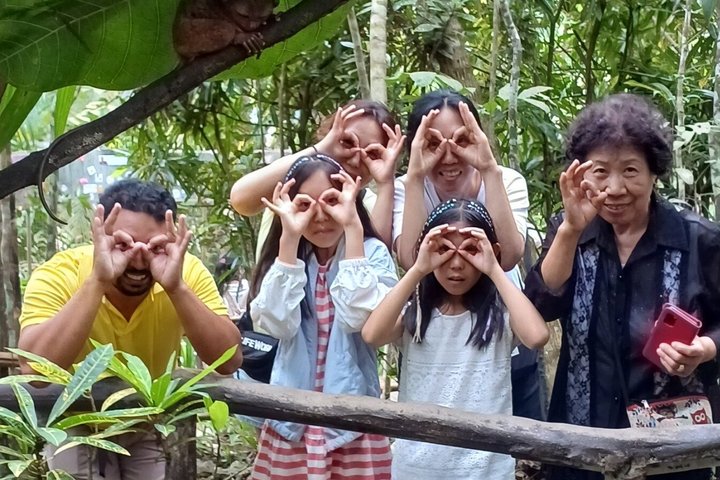 Bohol Tour: Cruzeiro Privado Loboc River, Chocolate Hills & Tarsier