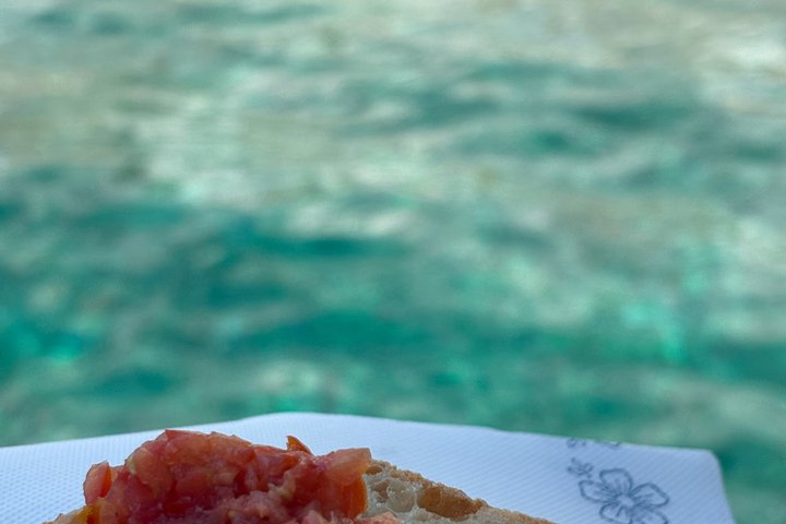 Île de Ponza : Excursion d'une journée complète en croisière au départ d'Anzio avec déjeuner à bord