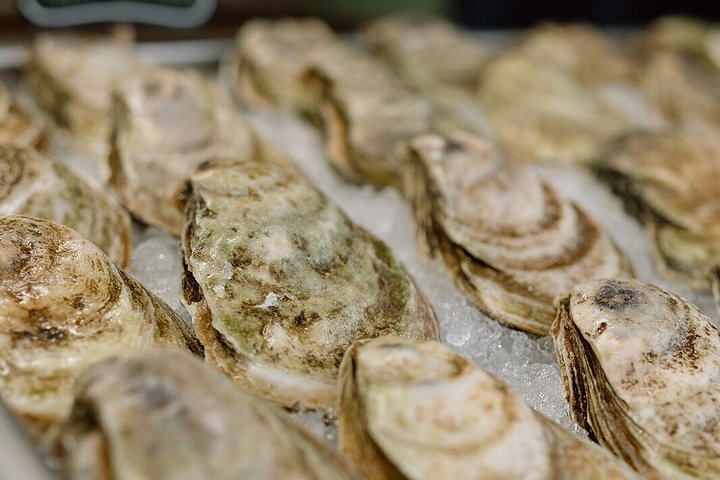 SIP & SHUCK - Oyster Shucking Class/ A pochi passi dalle navi da crociera