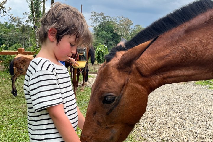 Horseback Riding Adventure i La Fortuna med River Crossings