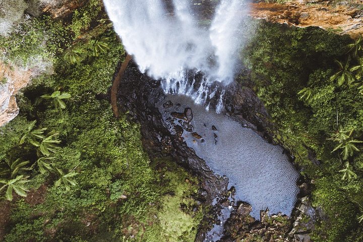 Private Gold Coast Wildlife Wasserfälle und Regenwald Tour