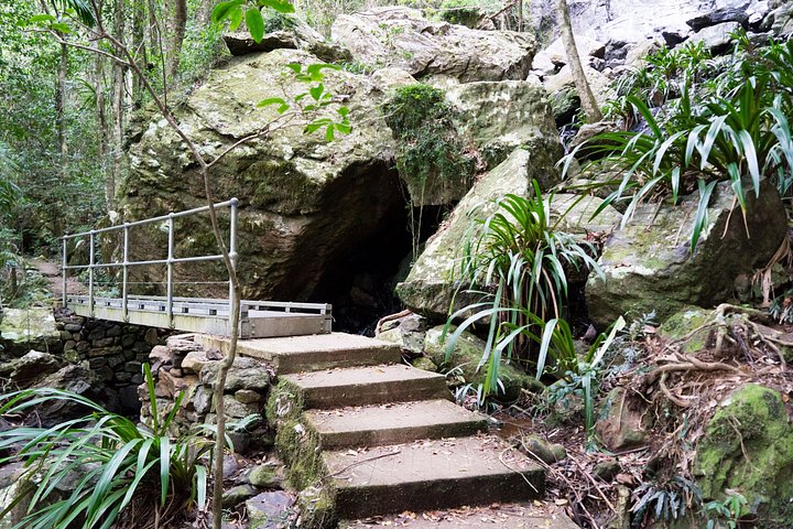 Private Gold Coast Wildlife Wasserfälle und Regenwald Tour