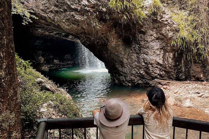 Private Gold Coast Wildlife Wasserfälle und Regenwald Tour