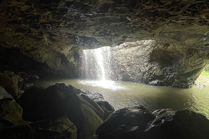 Private Gold Coast Wildlife Wasserfälle und Regenwald Tour