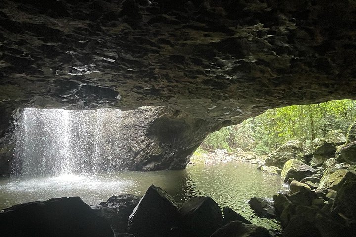 Private Gold Coast Wildlife Wasserfälle und Regenwald Tour