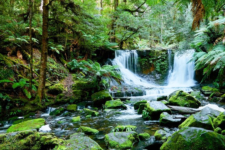 Dagstur i Mt. Field, Mt. Wellington, Bonorong Wildlife Sanctuary og Richmond