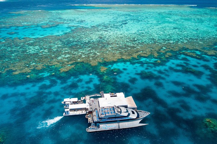 Quicksilver - Croisière plongée avec tuba dans la Grande barrière de corail à partir de Palm Cove