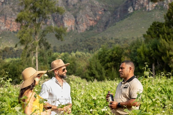 Fuld-dags Stellenbosch og Franschhoek Wine Tour fra Cape Town
