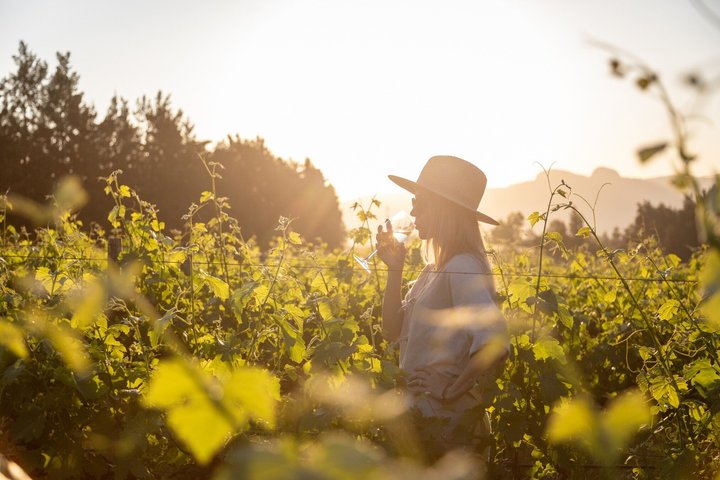 Fuld-dags Stellenbosch og Franschhoek Wine Tour fra Cape Town