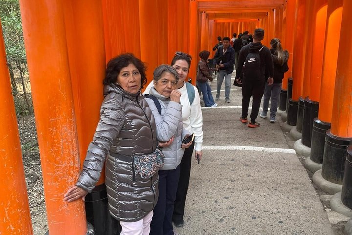 Skreddersydd heldags privat opplevelse av Kyoto for 1 dag besøkende