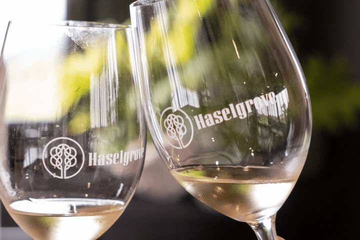 Punti salienti di Adelaide, degustazione di vini e giro turistico di Hahndorf e McLaren Vale