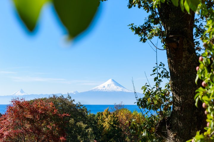 Frutillar y Llanquihue: Tour desde Puerto Varas o Puerto Montt