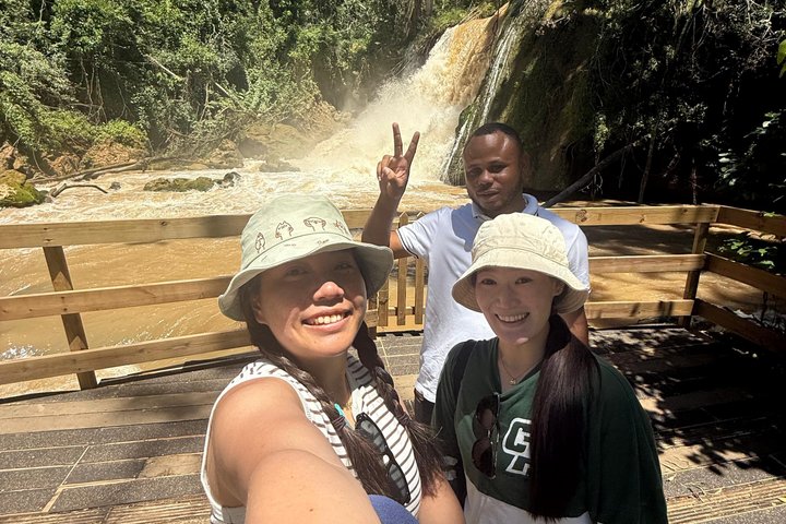 YS Falls y Black River Safari Costa Sur desde Negril Jamaica