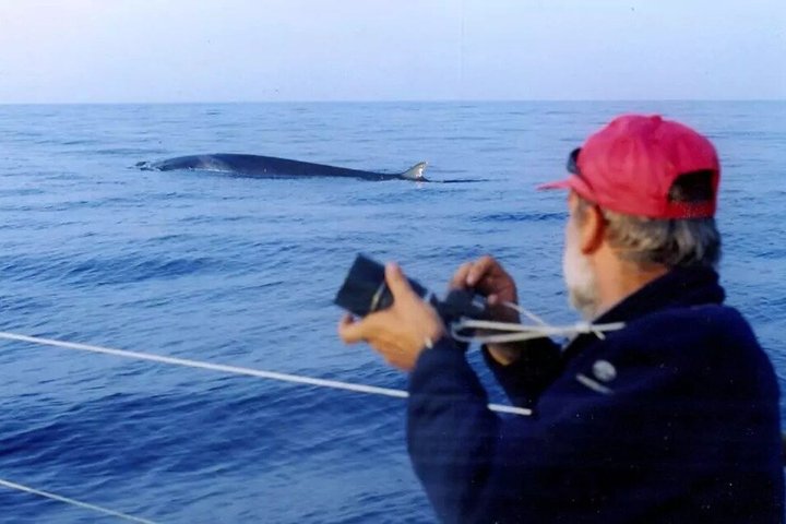 Avistamiento de ballenas a vela en el Santuario de Pelagos