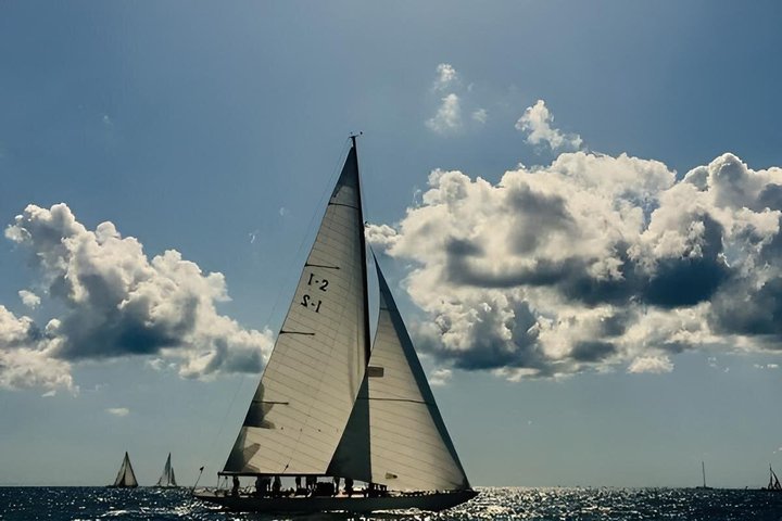 Avistamiento de ballenas a vela en el Santuario de Pelagos