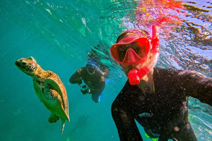 Snorkel & Whitehaven Beach Eco Cruise, Lunch | Från Airlie Beach