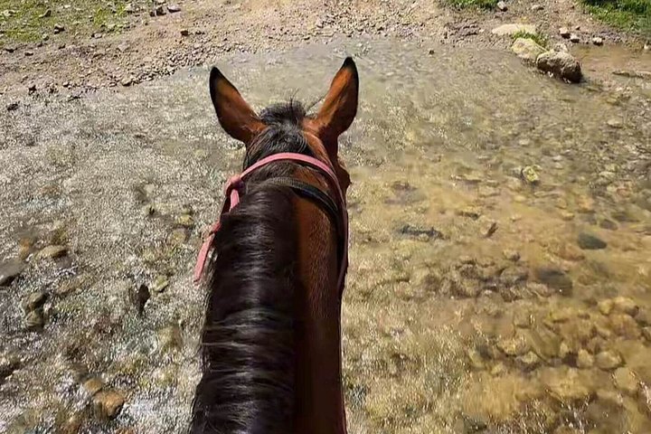Experiência panorâmica de equitação em Ile-Alatau National Park