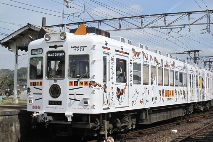 Wakayama historique en voiture privée