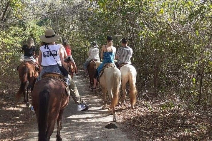 Excursão privada a cavalo em Ixtapa Zihuatanejo em Playa Larga
