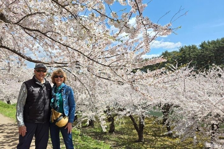 Hakodate 6 uur privétour met auto met gelicentieerde Gids