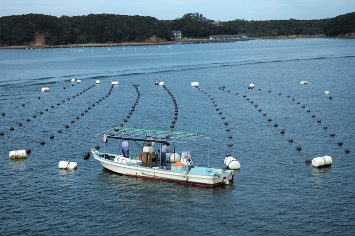 Toba, Ise Jingu och Mikimoto Pearl Island Tour