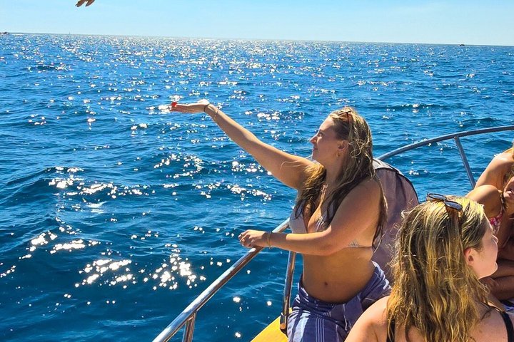 Cinque Terre båttur med avgang fra Monterosso