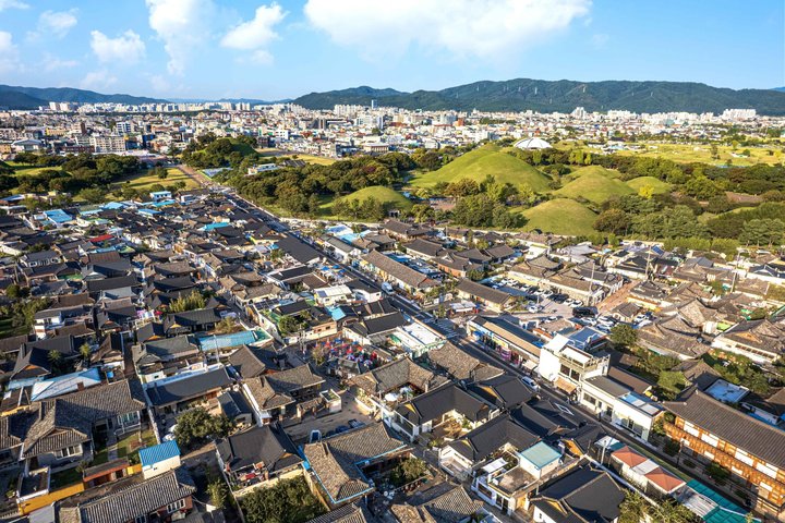 Tour privato di Gyeongju UNESCO con ritiro a Busan o Gyeongju