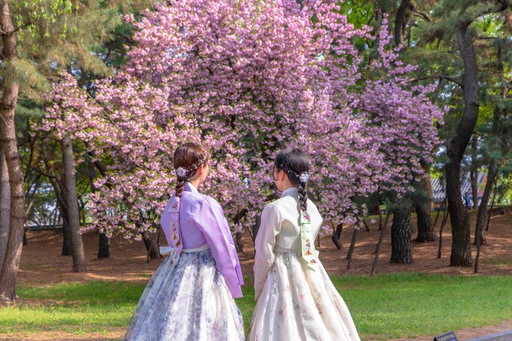 Tour privato di Gyeongju UNESCO con ritiro a Busan o Gyeongju