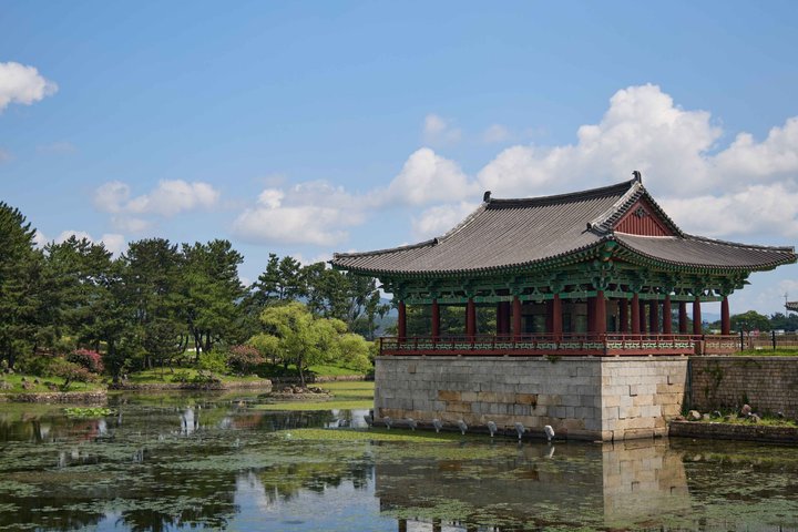 Tour privato di Gyeongju UNESCO con ritiro a Busan o Gyeongju