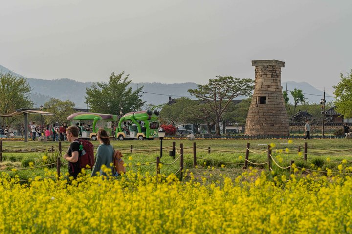 Tour privato di Gyeongju UNESCO con ritiro a Busan o Gyeongju