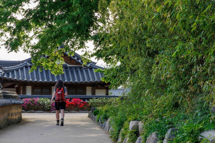 Tour privato di Gyeongju UNESCO con ritiro a Busan o Gyeongju