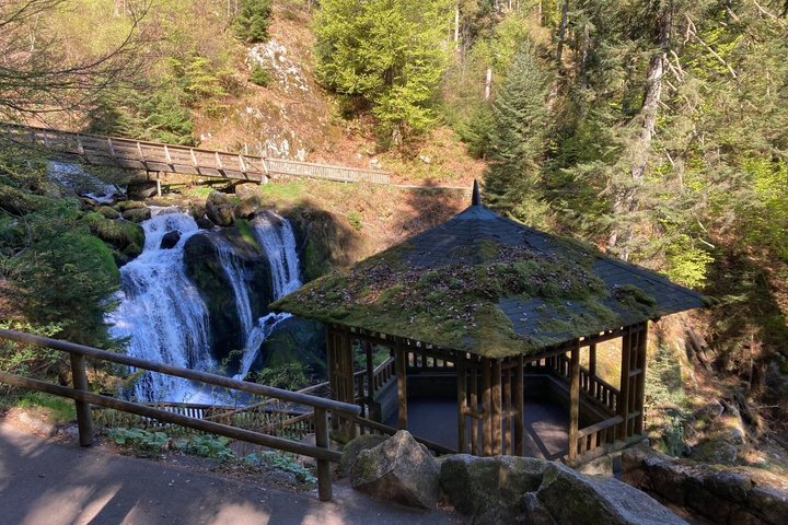 Partindo de Estrasburgo, visite a Floresta Negra em Triberg, Titisee e Freiburg.