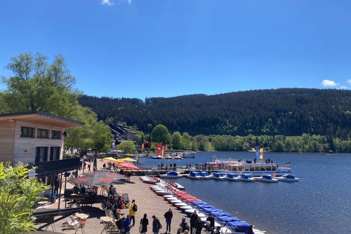 Partindo de Estrasburgo, visite a Floresta Negra em Triberg, Titisee e Freiburg.