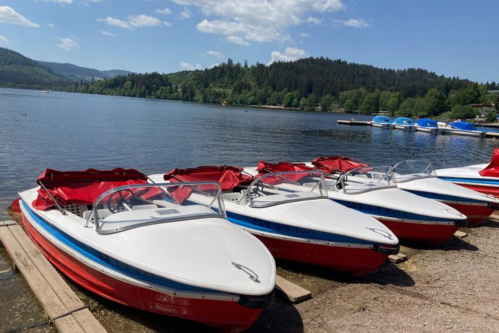 Partindo de Estrasburgo, visite a Floresta Negra em Triberg, Titisee e Freiburg.