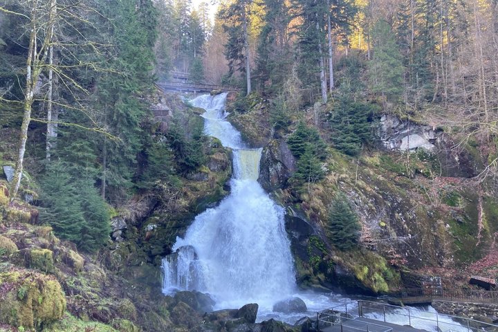 Partindo de Estrasburgo, visite a Floresta Negra em Triberg, Titisee e Freiburg.