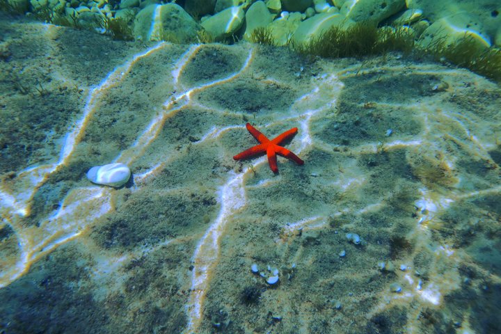 KAYAK & SNORKEL ÄVENTYR - Havsgrottor och Vilda Kusten Utforska