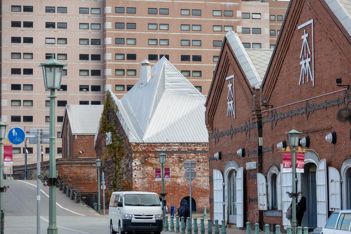 Excursion à terre dans le port et la baie au départ du port de Hakodate